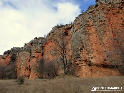 Hoces y cañones del Río Gallo - Paredones río Piedra;sendero del oso